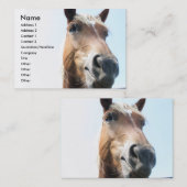 Paard Visitekaartje (Voorkant / Achterkant)