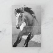 Paard Wenskaart - Aanraken naar beneden Kaart (Binnen)