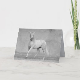 Paard Wenskaart - Klassiek Spaans Hengst Kaart