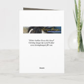 Paard Wenskaart - Witte hengst gooit hoofd Kaart (Achterkant)