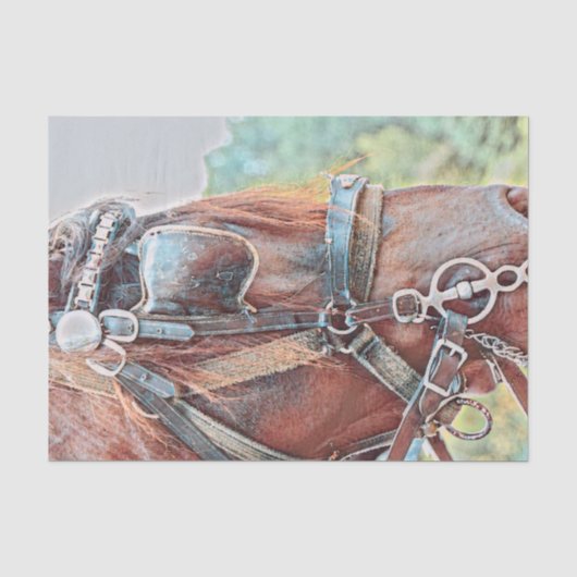Paard Westers Landelijk Decoupage Tissuepapier (Voorkant)