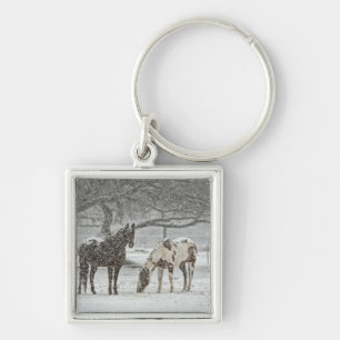 paard winter sneeuw boerderij ranch dieren besneeu sleutelhanger