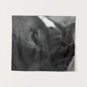 Paard wtcnm wandkleed (Voorkant (horizontaal))