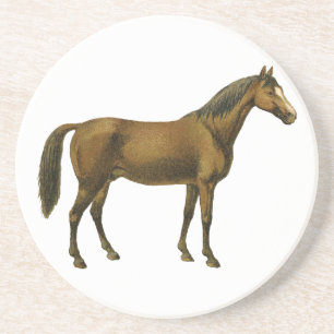  paard zandsteen onderzetter