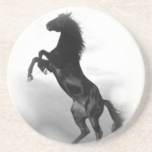Paard Zandsteen Onderzetter