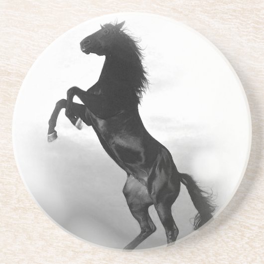 Paard Zandsteen Onderzetter (Voorkant)