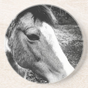 Paard Zandsteen Onderzetter