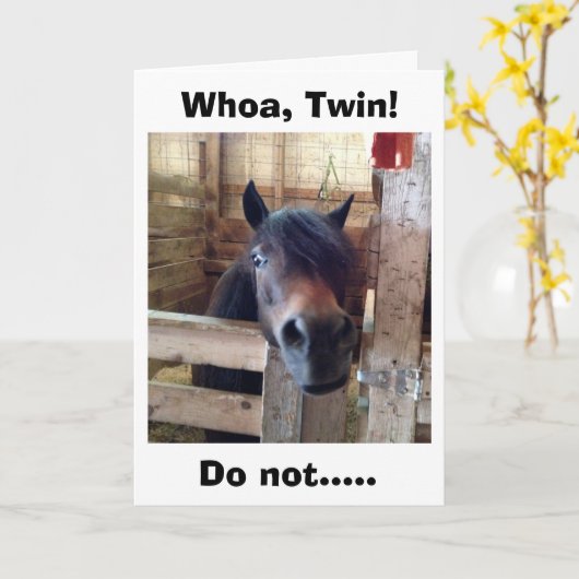 PAARD ZEGT WIE TWEELING NOG NIET VIEREN KAART (Gele Bloem)