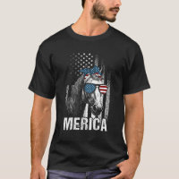 Paard Zonnebril Dier Amerikaanse Vlag Patriottisch