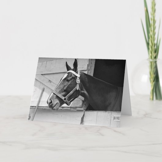 Paard zwart en wit, Verjaardag Kaart (Voorkant)