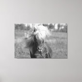  Paard Zwart-wit Canvas Afdruk (Voorkant)