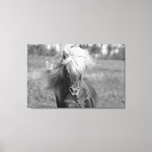 Paard Zwart-wit Canvas Afdruk (Voorkant)