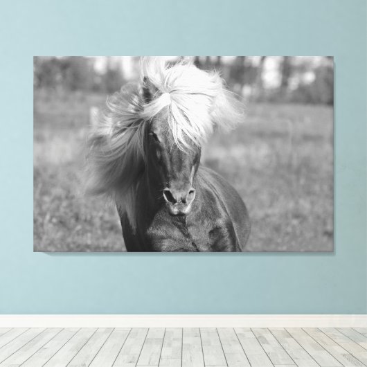  Paard Zwart-wit Canvas Afdruk (Insitu (Houten vloer))