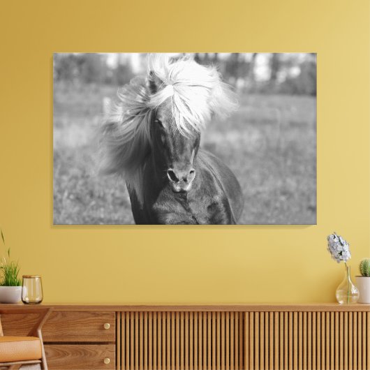 Paard Zwart-wit Canvas Afdruk (Insitu (Woonkamer))