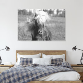 Paard Zwart-wit Canvas Afdruk