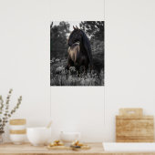 Paard Zwart Wit Foto Modern Poster (Keuken)