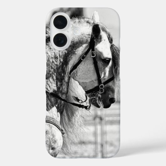 Paard zwart-wit kunstfoto Case-Mate iPhone case (Achterkant)