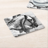 Paard zwart-wit kunstfoto kartonnen onderzetters (Schuin)