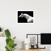 Paard Zwart & Wit Poster (Thuiskantoor)