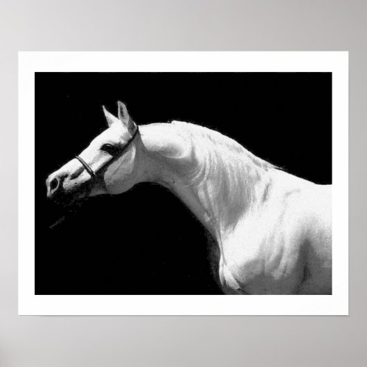 Paard Zwart & Wit Poster (Voorkant)
