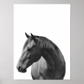 Paard Zwart Wit Stijl Modern Poster (Voorkant)