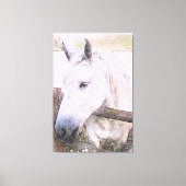 *~* Paardachtige AR22 Wit Paard over Houten Omhein Canvas Afdruk (Voorkant)