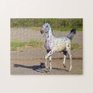 Paardachtige kalveren van Appaloosa Legpuzzel