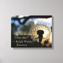 Paardebloem Afbeelding