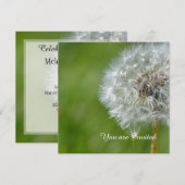 Paardebloem bloem verjaardag kaart (Voorkant / Achterkant)
