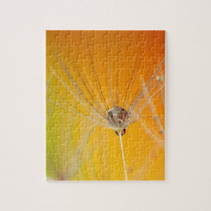 Paardebloem Bloemen Destiny Vrede Liefde Kunst Legpuzzel