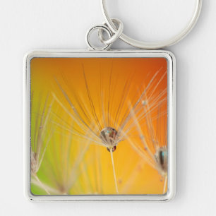 Paardebloem Bloemen Destiny Vrede Liefde Kunst Sleutelhanger