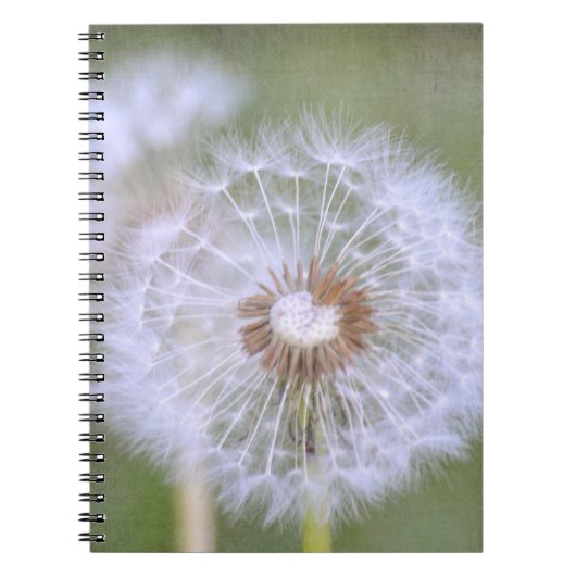 Paardebloem Bloemen Notitieboek (Voorkant)