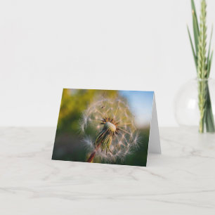 Paardebloem Fluffball Notecard Kaart