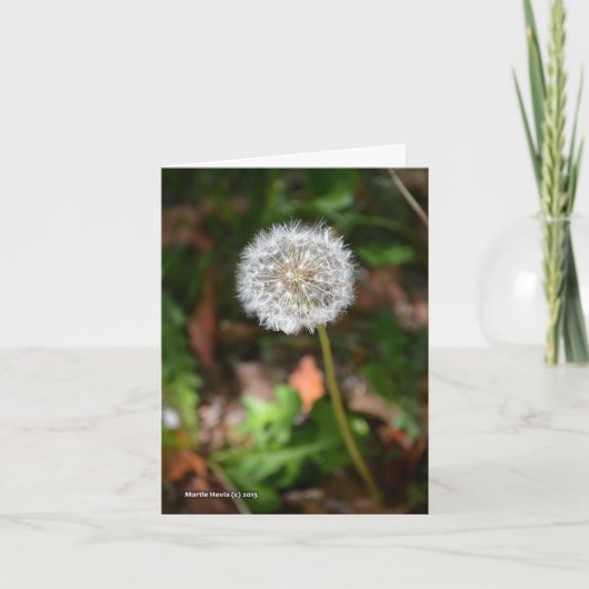 Paardebloem Kaart (Voorkant)