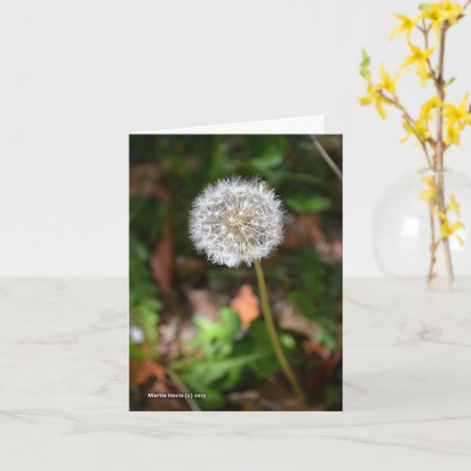 Paardebloem Kaart (Gele Bloem)