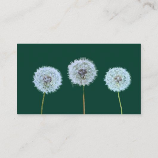 Paardebloem Lawn Care Landscaping Landscaper Visitekaartje (Achterkant)