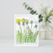 Paardebloem Materia Medica Kruiden Plant Studie Ka Briefkaart (Staand voorkant)