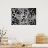 Paardebloem - noir, poster (Keuken)