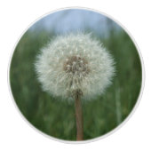 Paardebloem Seedhead Dresser Knop (Voorkant)