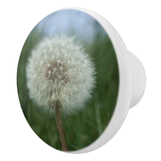 Paardebloem Seedhead Dresser Knop (Rechts)