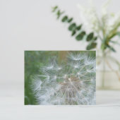 Paardebloem Seeds Close-up DIY Briefkaart (Staand voorkant)