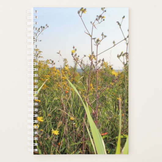Paardebloem veld bokeh planner (Voorkant)
