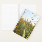 Paardebloem veld bokeh planner (Display)