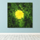 Paardebloem verpakt Canvas Afdruk (Insitu (Houten vloer))