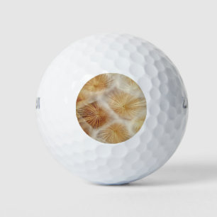 Paardebloem zaad pluis golfballen