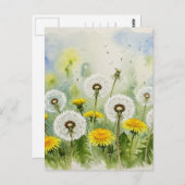 Paardebloemen Briefkaart (Voorkant / Achterkant)