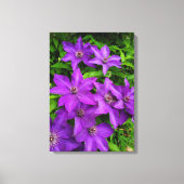paardebloemen canvas afdruk (Voorkant)