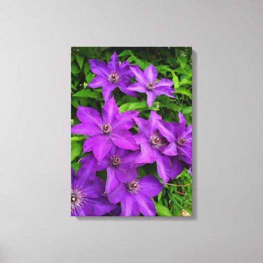 paardebloemen canvas afdruk (Voorkant)