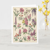 paardebloemen kaart (Gele Bloem)