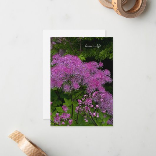  paardebloemen notitiekaartje (Voorkant / Achterkant in situ)